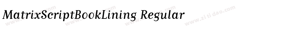 MatrixScriptBookLining Regular字体转换